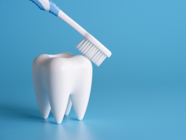 tooth and toothbrush